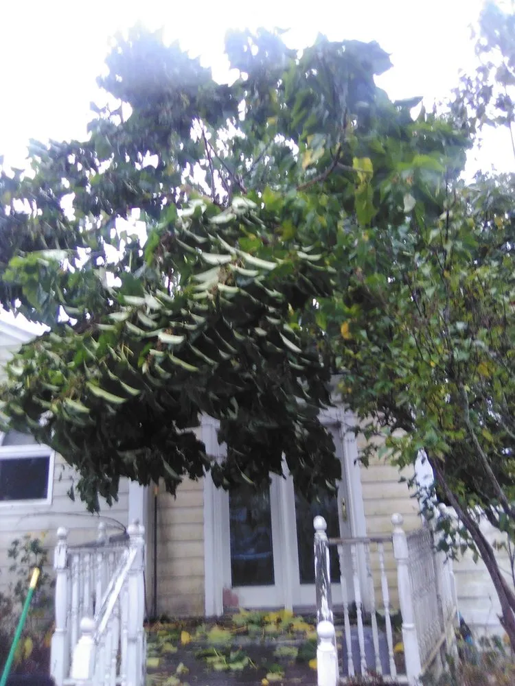 Professional lawn mowing service in Grafton, MA by Be Green Landscaping