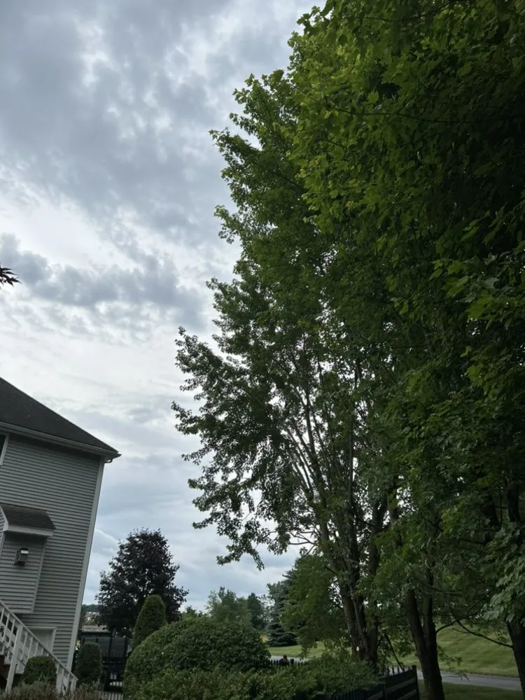 Custom lawn mowing service experts serving Lynn, MA - Be Green Landscaping services