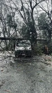 Expert landscaping services in Lynn, MA - Be Green Landscaping services