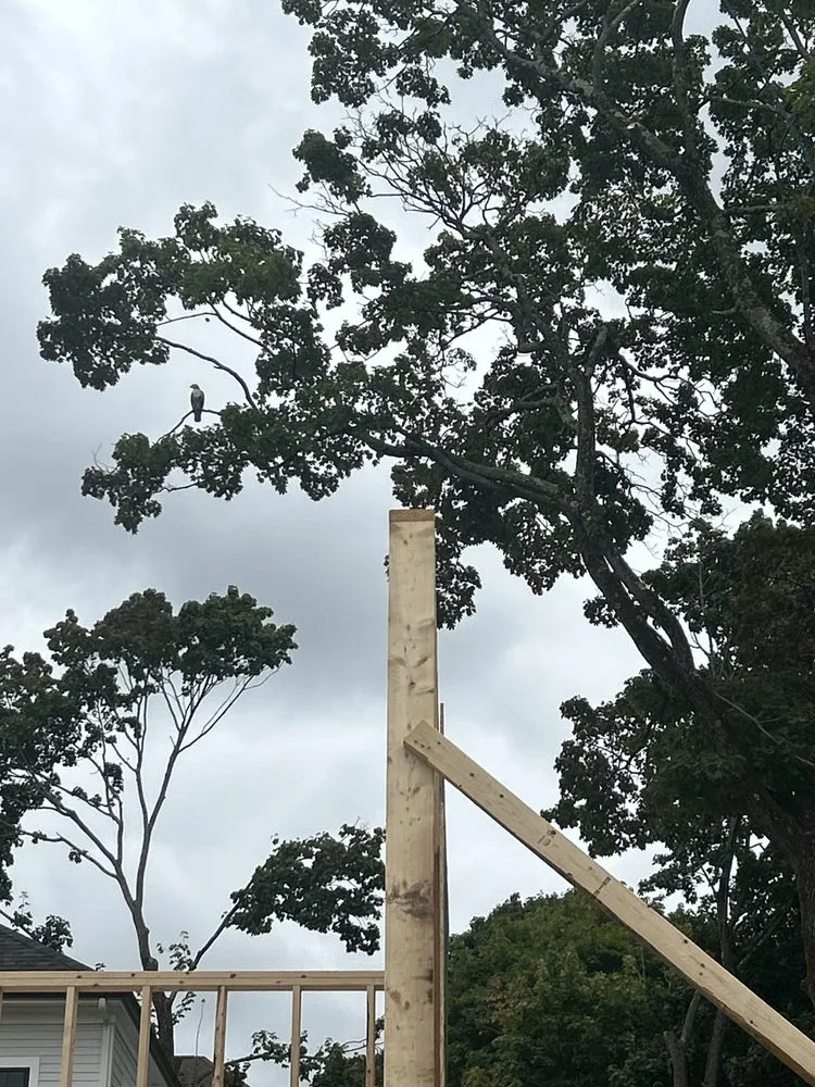 Custom lawn care service for homes in Lynn, MA by Be Green Landscaping services