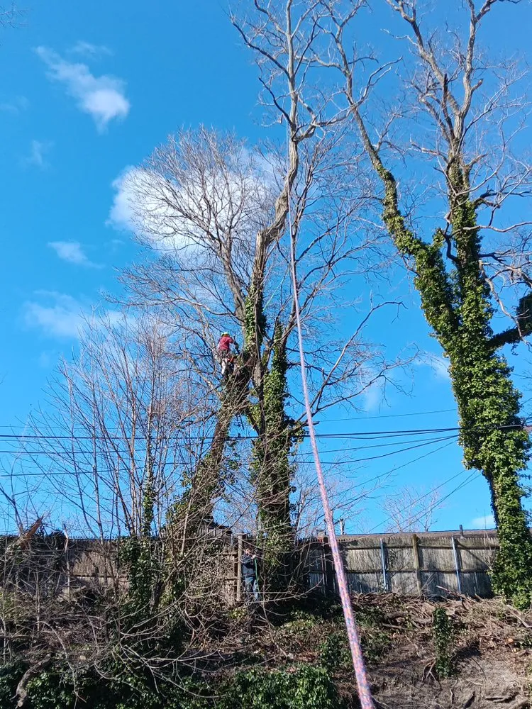 Local lawn care service in Lynn, MA - Be Green Landscaping services