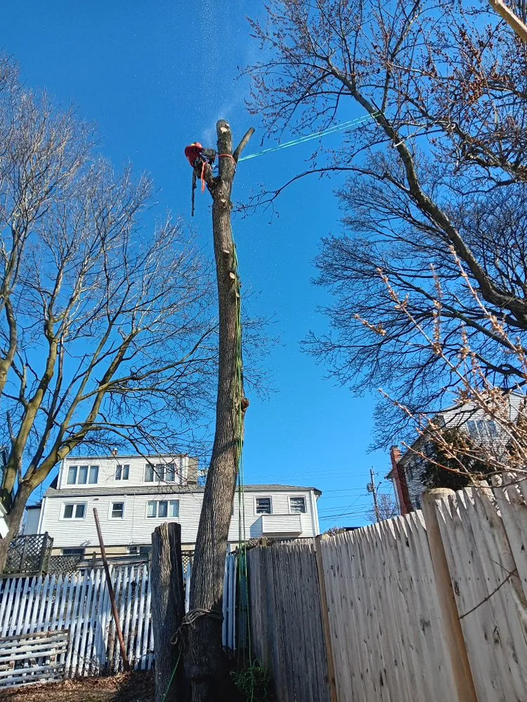 Reliable landscaping services experts serving Lynn, MA - Be Green Landscaping services