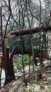 Local residential landscaping with custom design across Lynn, MA - Be Green Landscaping services