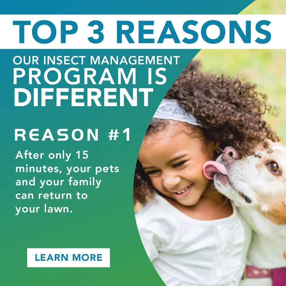 Expert yard cleanup service experts serving Oconomowoc, WI - Be Green Pro