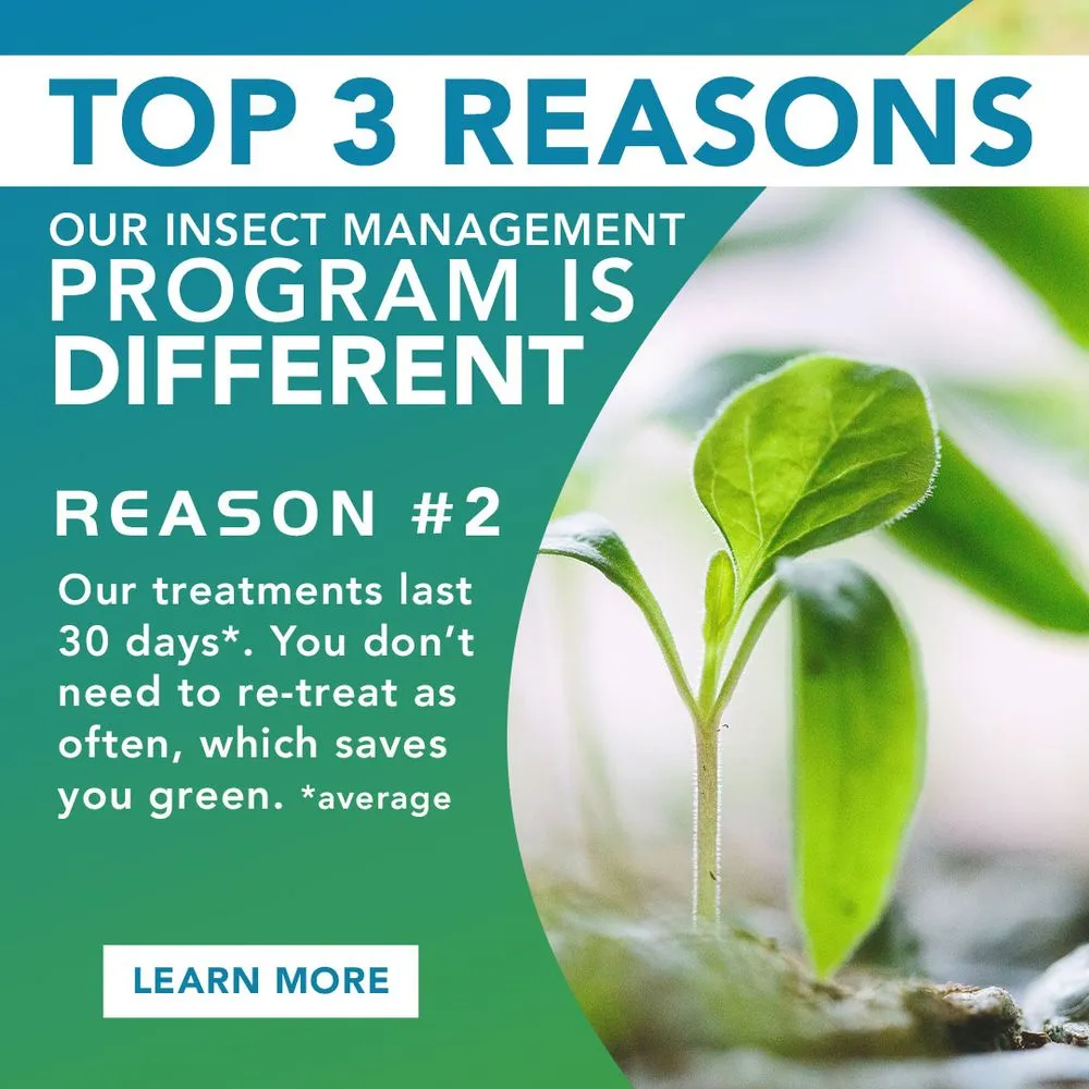 Local lawn mowing service with custom design across Oconomowoc, WI - Be Green Pro