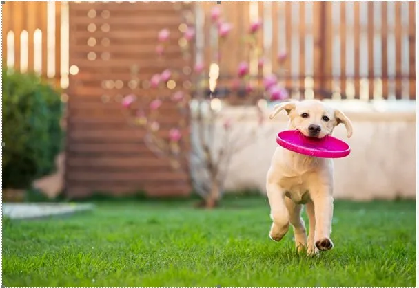 Local yard cleanup service for year-round maintenance across Oconomowoc, WI - Be Green Pro