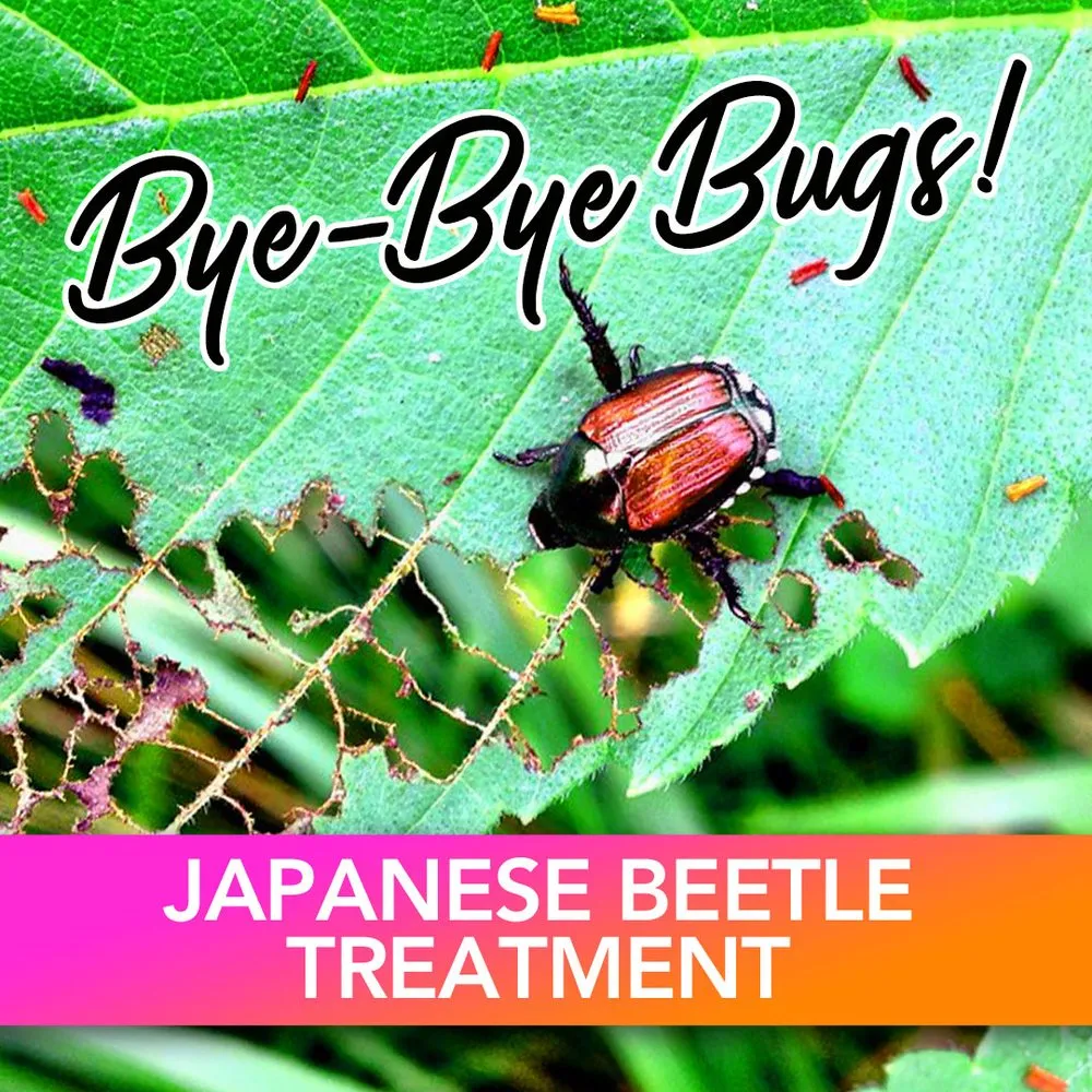 Local outdoor landscaping in Oconomowoc, WI by Be Green Pro