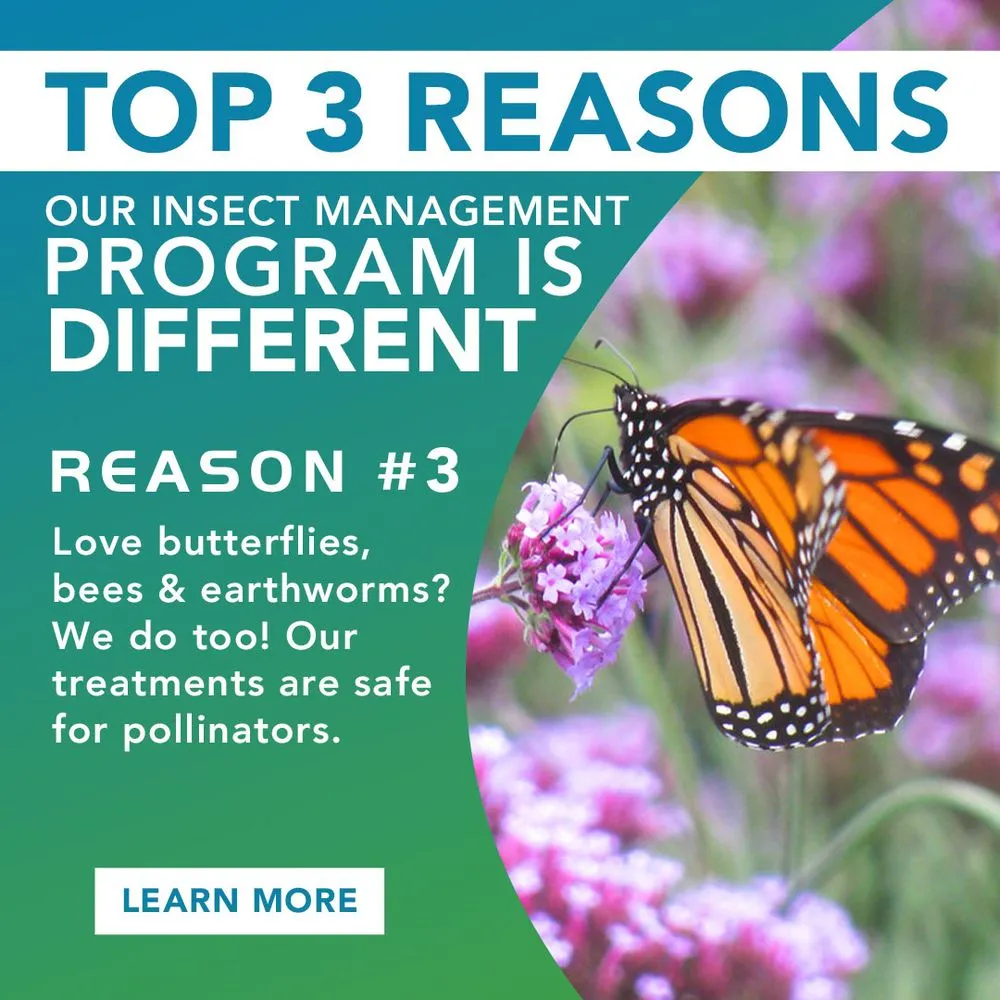 Expert outdoor landscaping for beautiful yards across Oconomowoc, WI - Be Green Pro