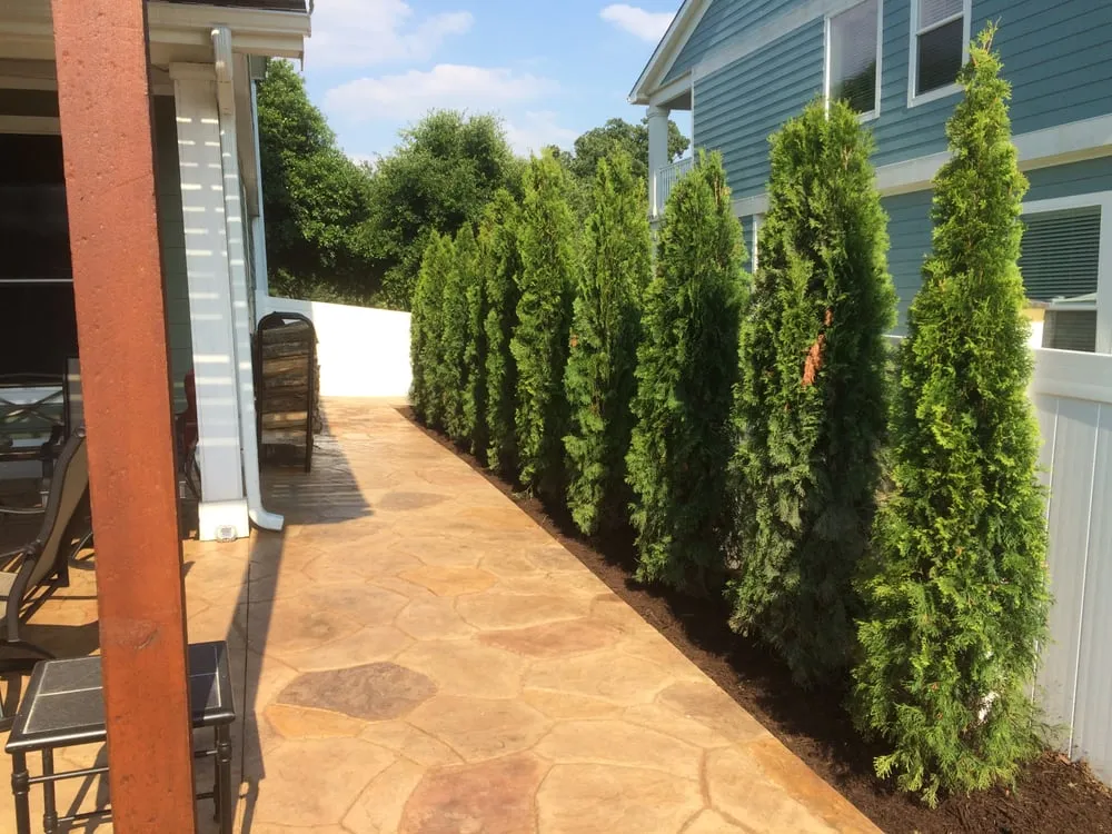 Affordable landscape design in Cross Roads, TX by Be Green Texas Lawn Care