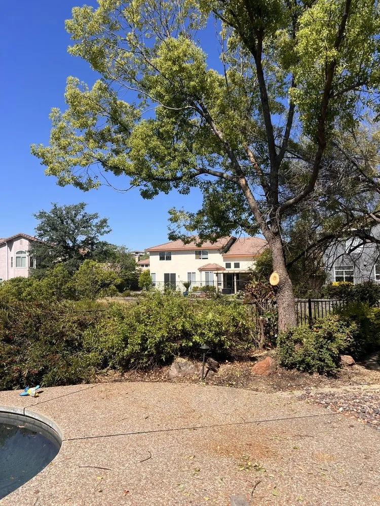 Expert landscape installation with custom design across Sacramento, CA - B&E H Tree services & Landscaping