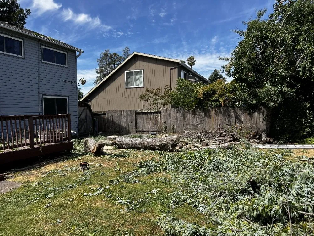 Top-rated lawn mowing service in Sacramento, CA - B&E H Tree services & Landscaping