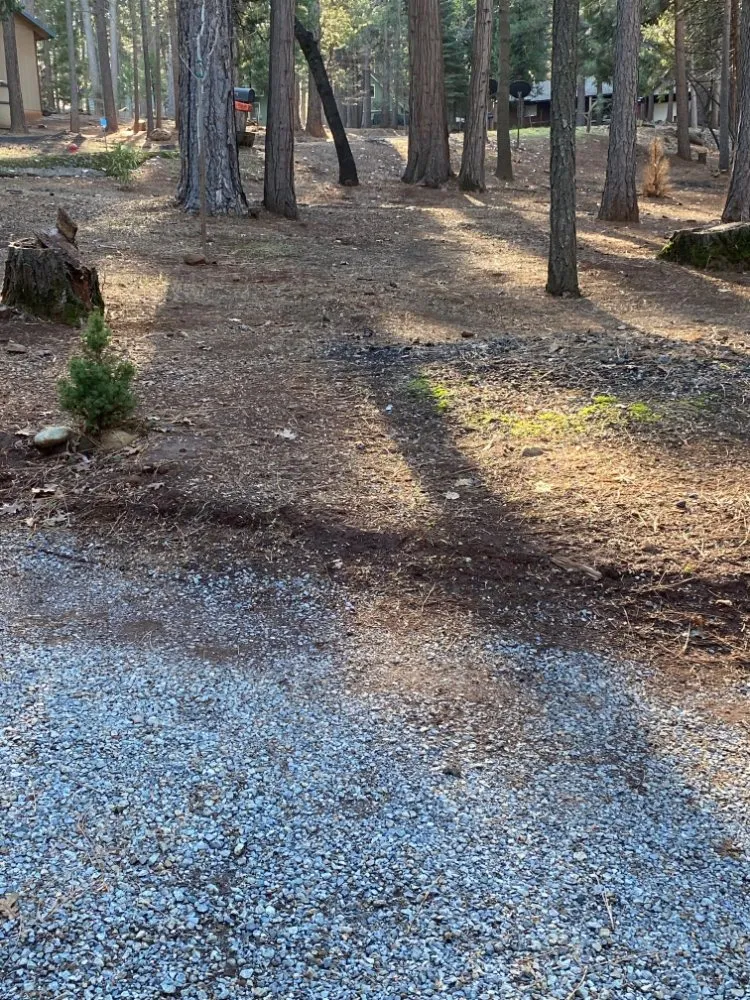 Local lawn care service experts serving Sacramento, CA - B&E H Tree services & Landscaping