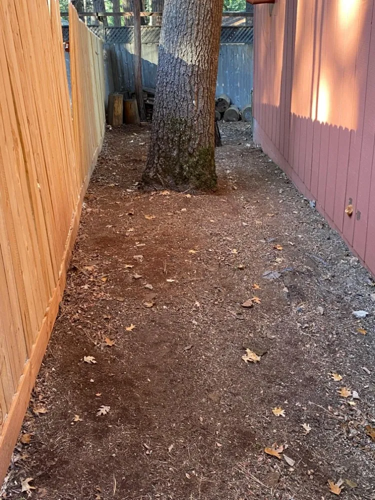 Custom outdoor landscaping experts serving Sacramento, CA - B&E H Tree services & Landscaping