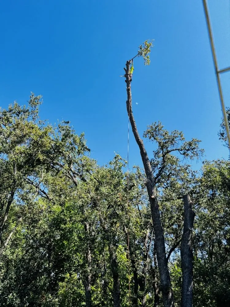 Top-rated landscape installation near you in Sacramento, CA by B&E H Tree services & Landscaping