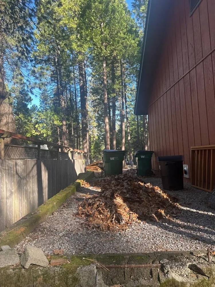 Expert lawn mowing service for residential properties in Sacramento, CA by B&E H Tree services & Landscaping