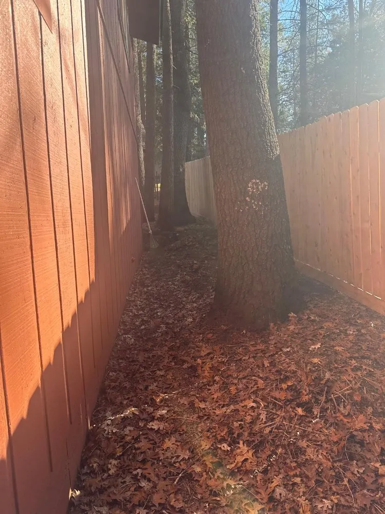 Affordable lawn care service in Sacramento, CA - B&E H Tree services & Landscaping