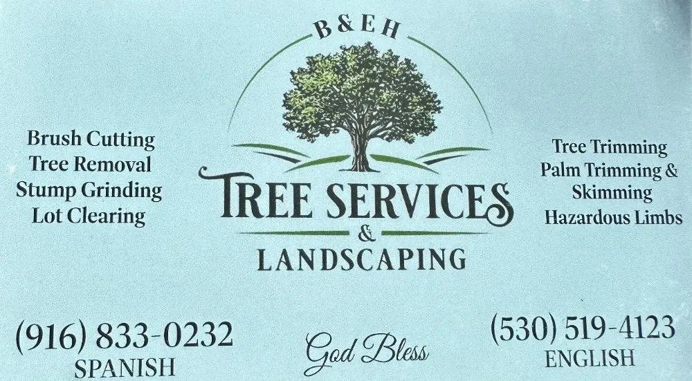 Reliable yard cleanup service near you across Sacramento, CA - B&E H Tree services & Landscaping