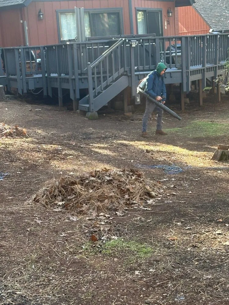 Trusted outdoor landscaping with custom design in Sacramento, CA by B&E H Tree services & Landscaping