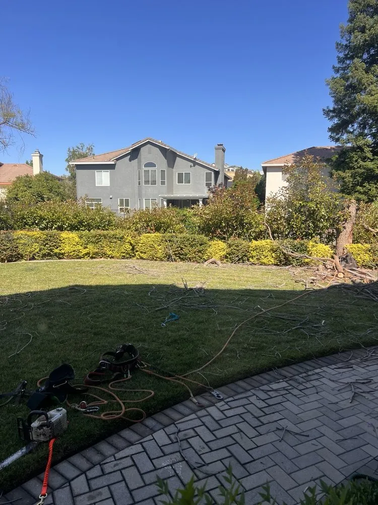 Expert yard maintenance with custom design in Sacramento, CA by B&E H Tree services & Landscaping