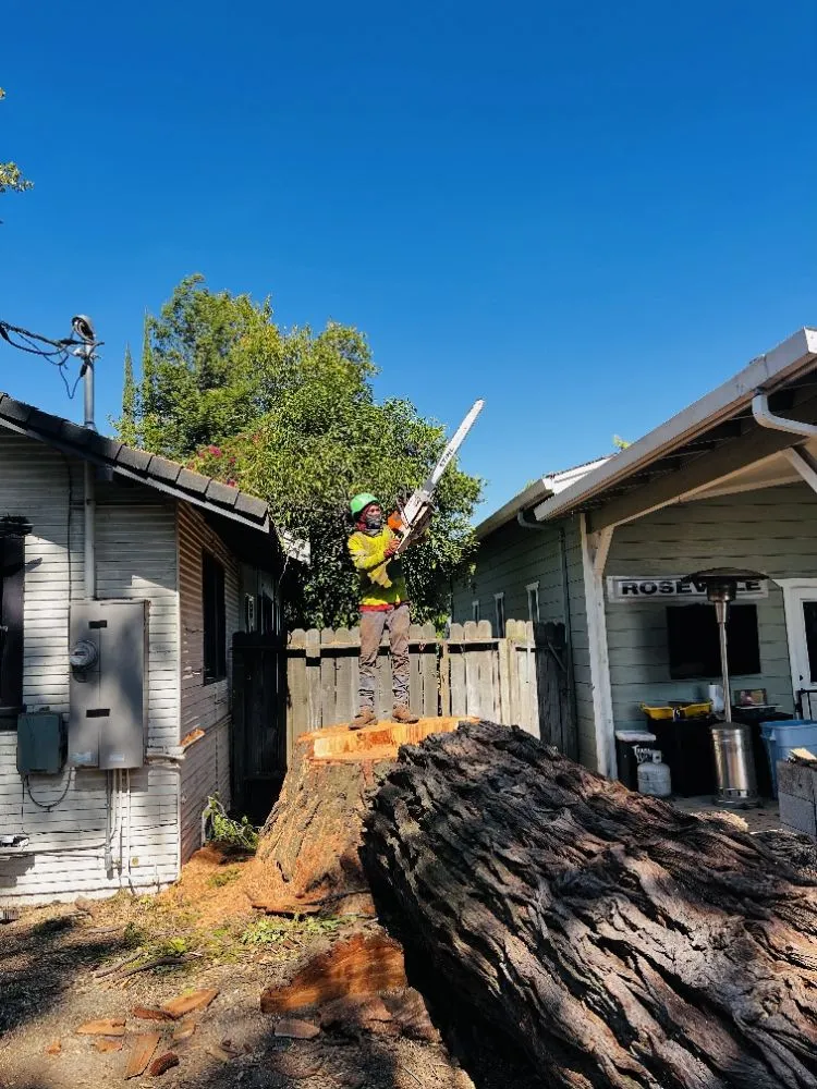 Trusted garden landscaping experts serving Sacramento, CA - B&E H Tree services & Landscaping