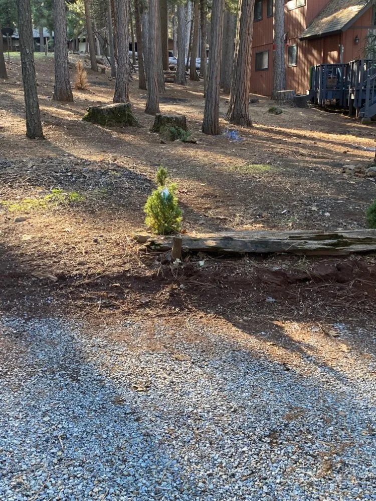 Reliable yard maintenance experts serving Sacramento, CA - B&E H Tree services & Landscaping