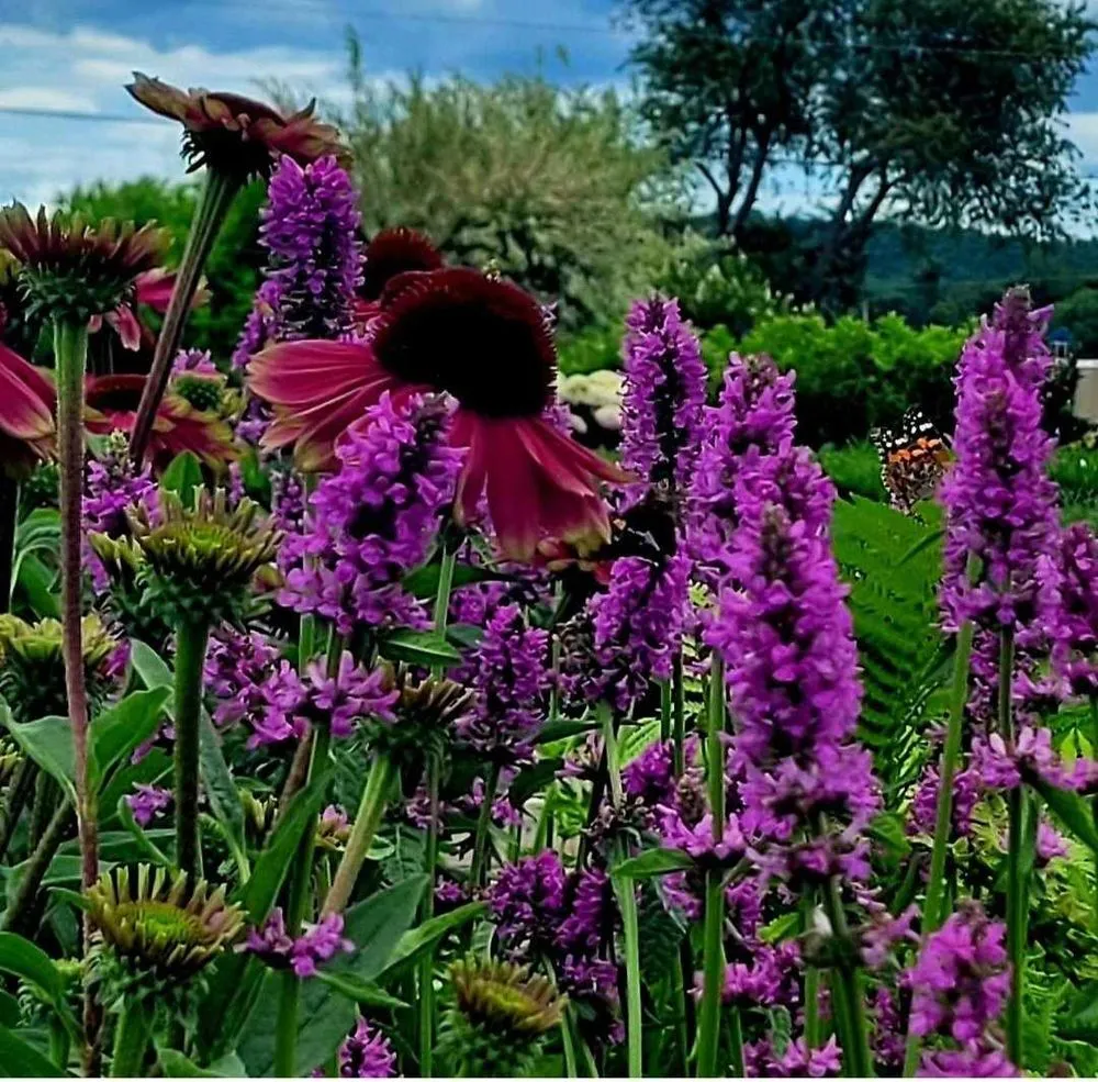 Reliable landscaping services in Hartland, CT by Be Happy Landscaping