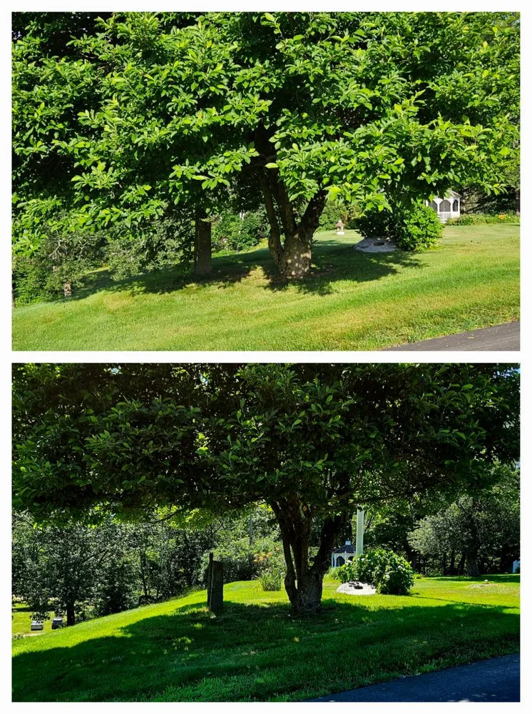 Local landscape installation in Hartland, CT by Be Happy Landscaping