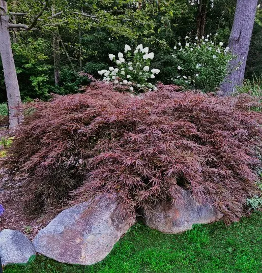 Affordable lawn mowing service experts serving Hartland, CT - Be Happy Landscaping