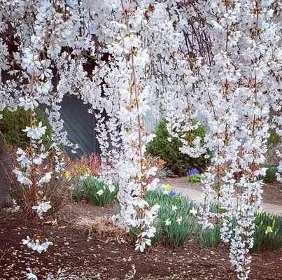 Be Happy Landscaping