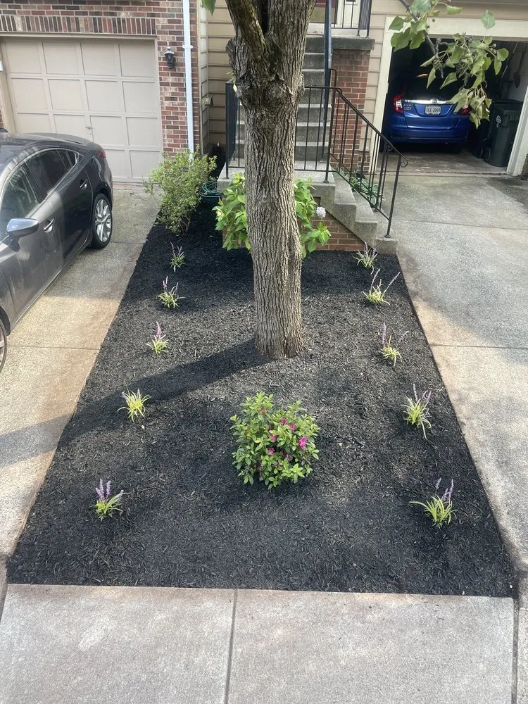Top-rated landscape installation in Ashburn, VA by Be Landscaped