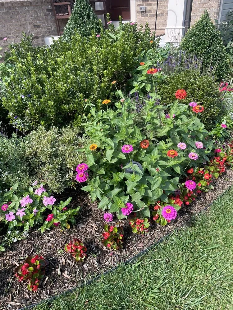 Local yard cleanup service for year-round maintenance in Ashburn, VA by Be Landscaped