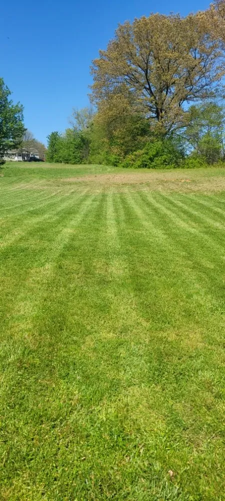 Custom yard cleanup service in Gate City, VA - B&E Lawn and Property