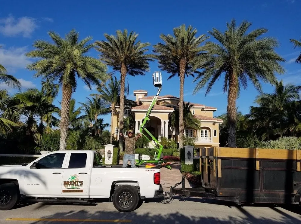 Affordable yard cleanup service for homes across Delray Beach, FL - BE Limitless Contractors