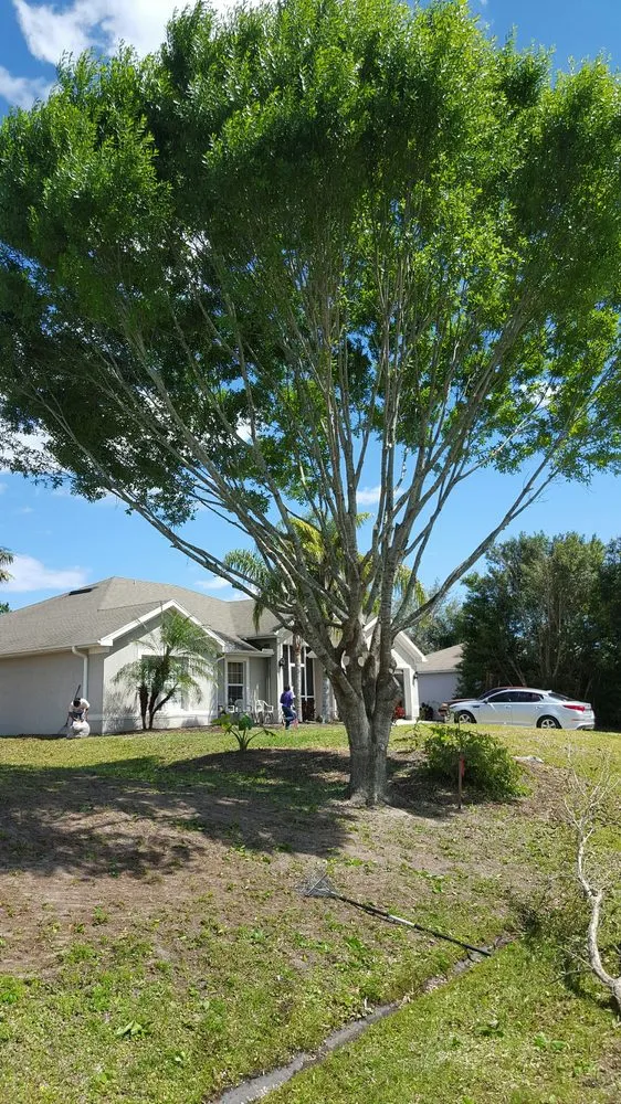 Local landscape design in Vero Beach, FL - BE Limitless Contractors