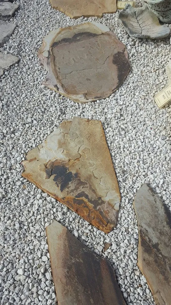 Professional lawn mowing service in Vero Beach, FL by BE Limitless Contractors