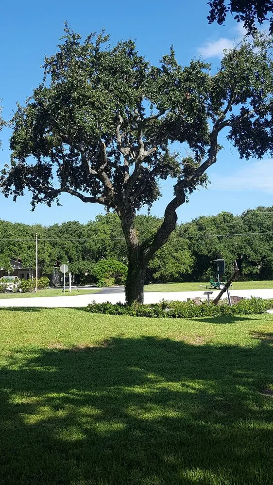 Expert outdoor landscaping with custom design across Vero Beach, FL - BE Limitless Contractors