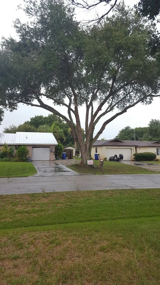 Reliable yard cleanup service in Vero Beach, FL - BE Limitless Contractors