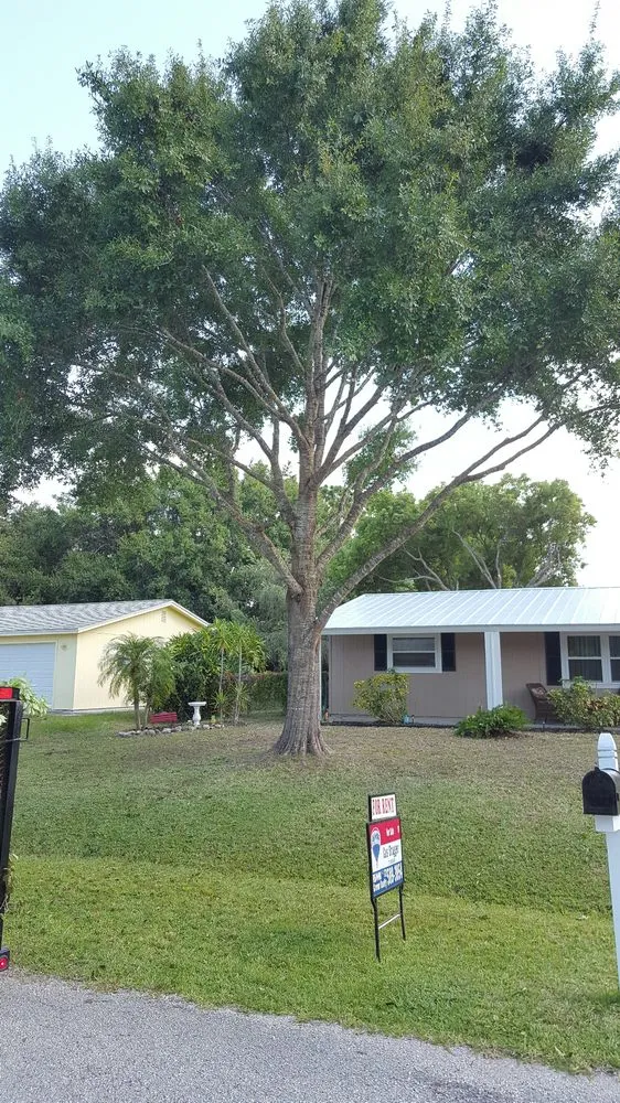 Trusted yard maintenance for year-round maintenance in Vero Beach, FL by BE Limitless Contractors