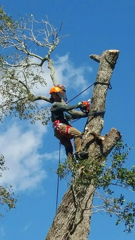 Top-rated landscaping services in Vero Beach, FL - BE Limitless Contractors