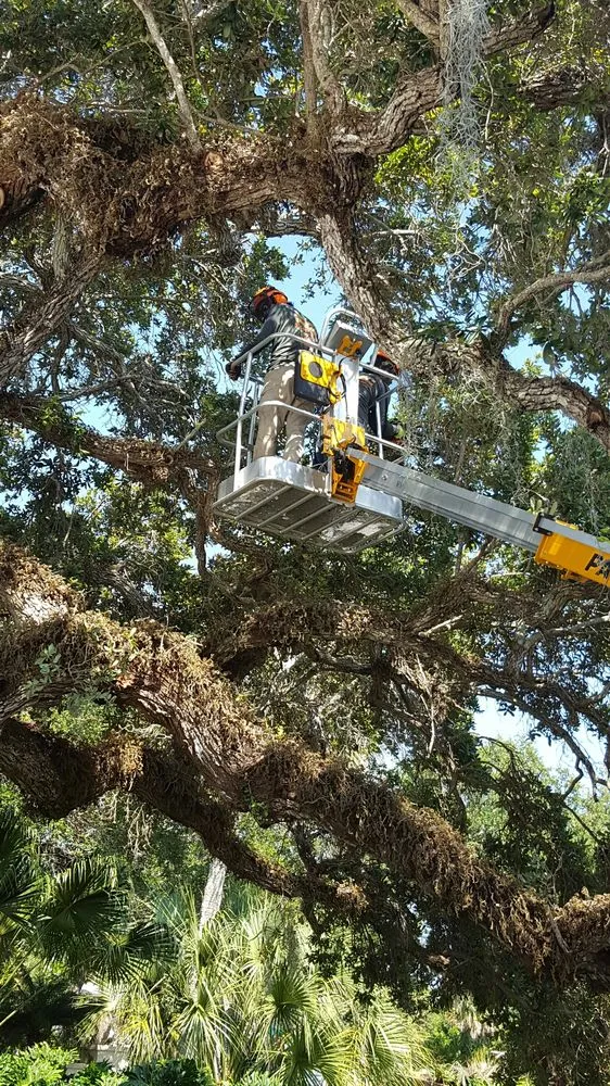 Professional yard cleanup service in Vero Beach, FL - BE Limitless Contractors