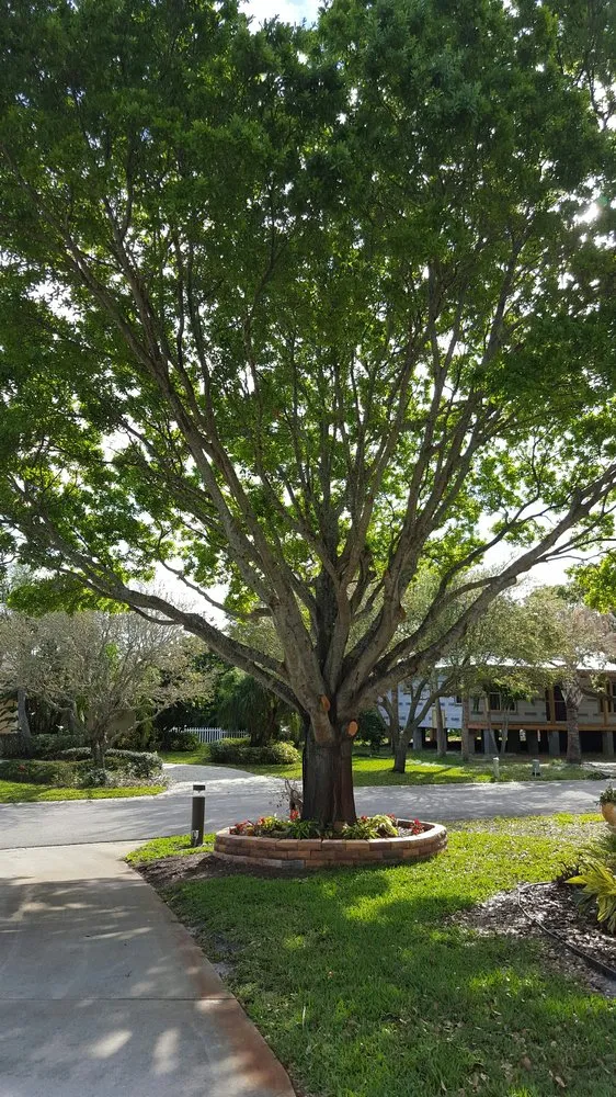 Affordable landscape installation in Vero Beach, FL by BE Limitless Contractors