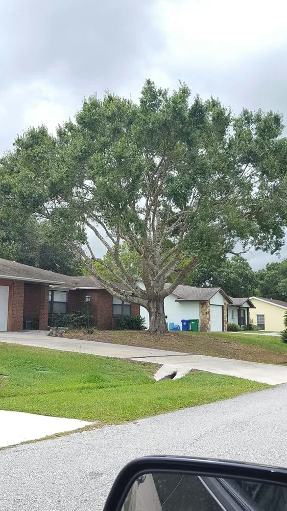 Trusted landscape installation in Vero Beach, FL by BE Limitless Contractors