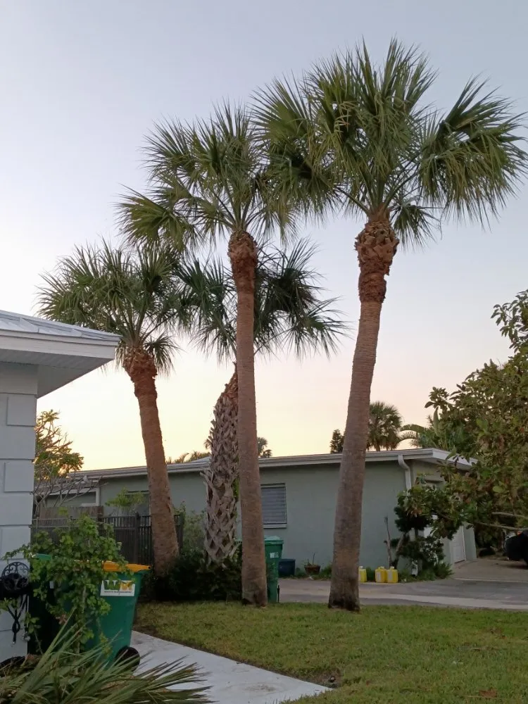 Custom lawn mowing service for year-round maintenance across Cocoa, FL - B&E Tree Service