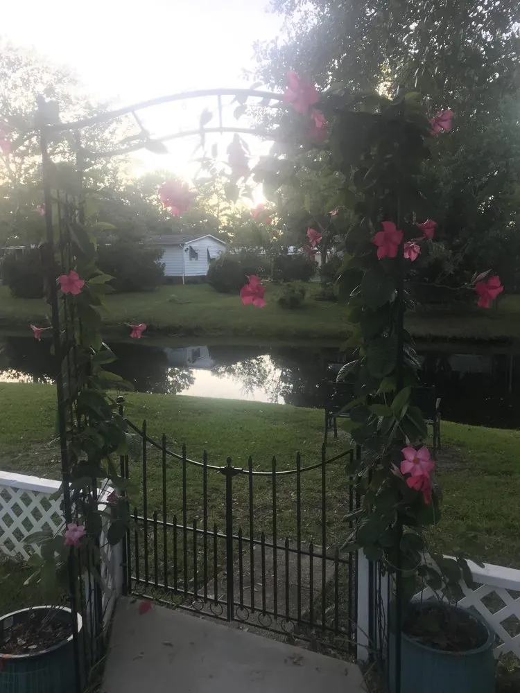 Expert landscape design in Myrtle Beach, SC by Beach Boys Landscaping