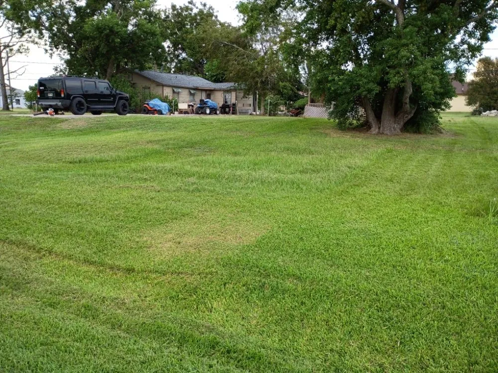 Local landscaping services in Freeport, TX - Beach Boyz Lawn Care
