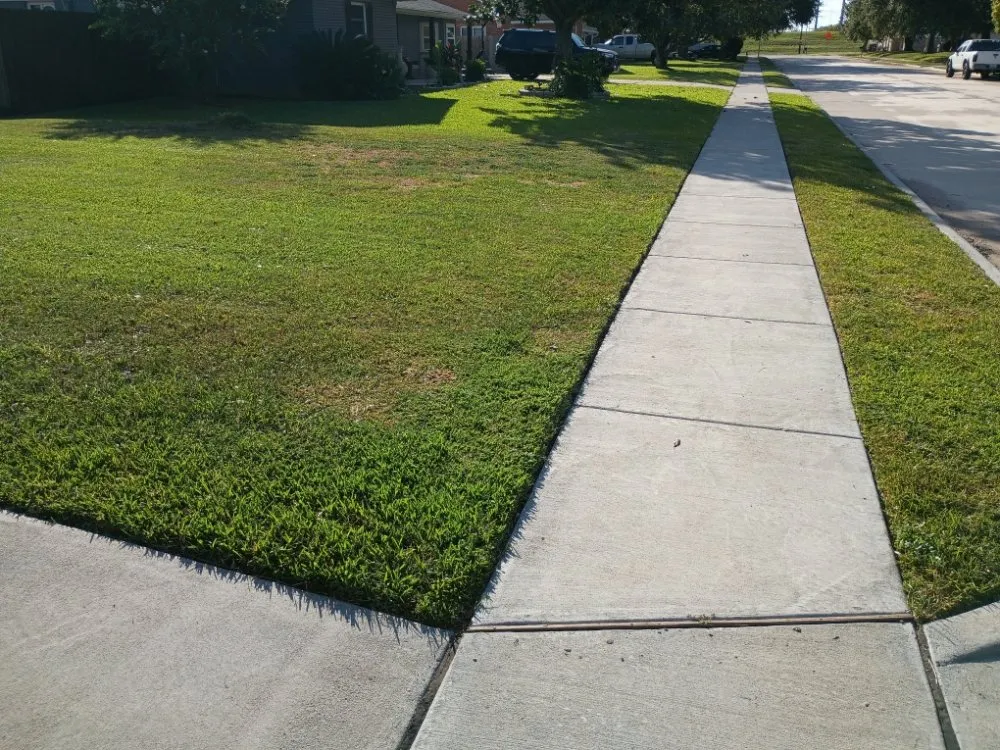 Top-rated yard cleanup service for year-round maintenance in Freeport, TX by Beach Boyz Lawn Care