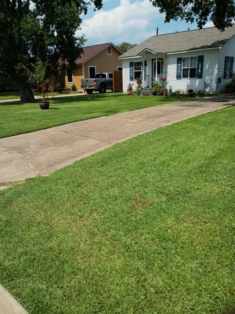 Local yard cleanup service for residential properties in Freeport, TX by Beach Boyz Lawn Care