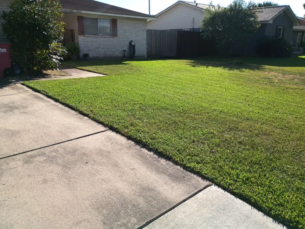 Trusted yard cleanup service in Freeport, TX by Beach Boyz Lawn Care