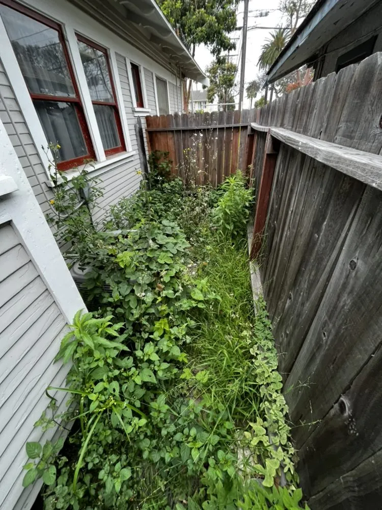 Trusted lawn care service with custom design across Long Beach, CA - Beach City Mowers