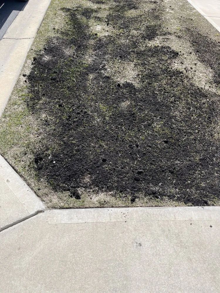 Custom landscaping services for beautiful yards in Panama City, FL by Beach Complete